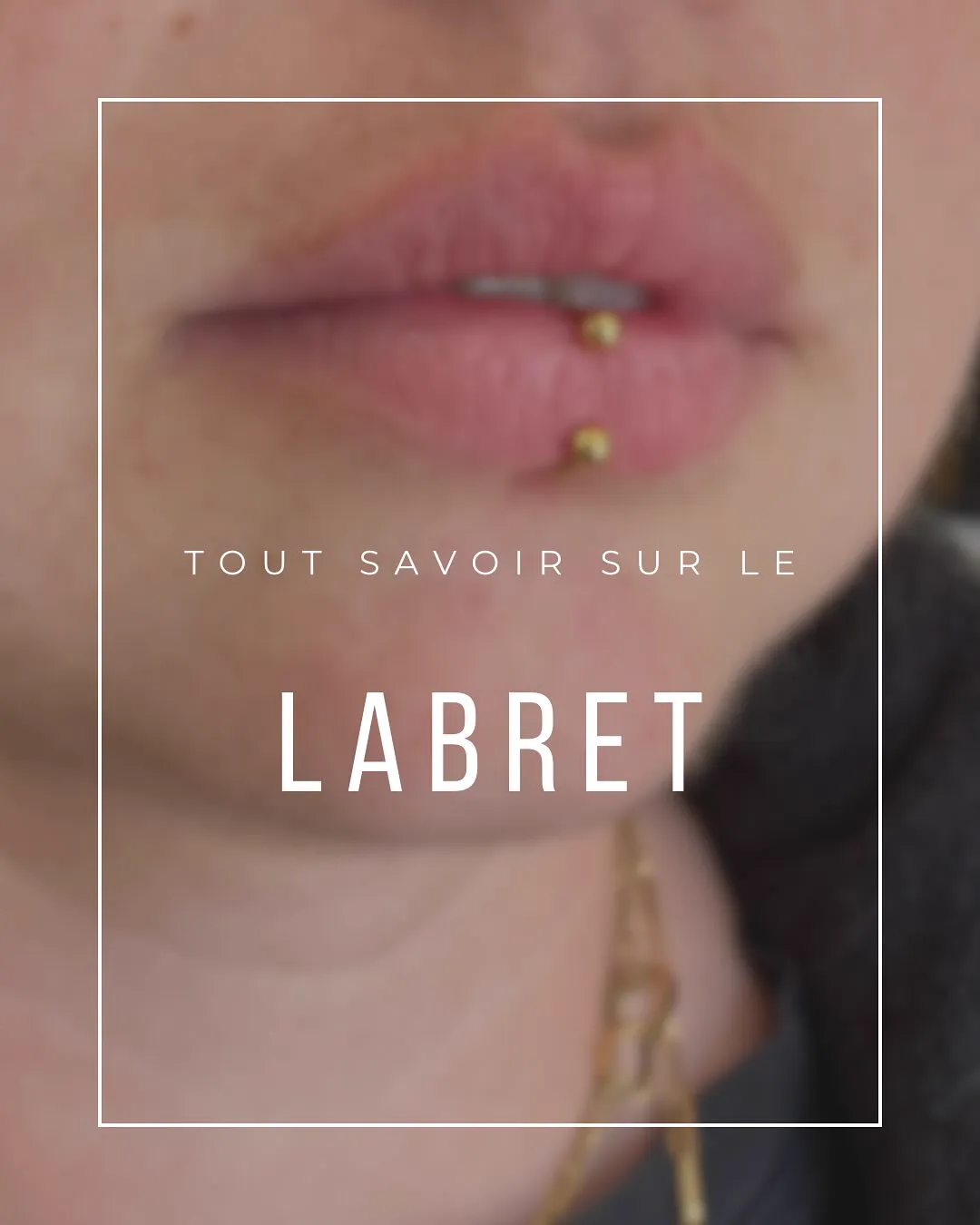 Tout savoir sur le labret