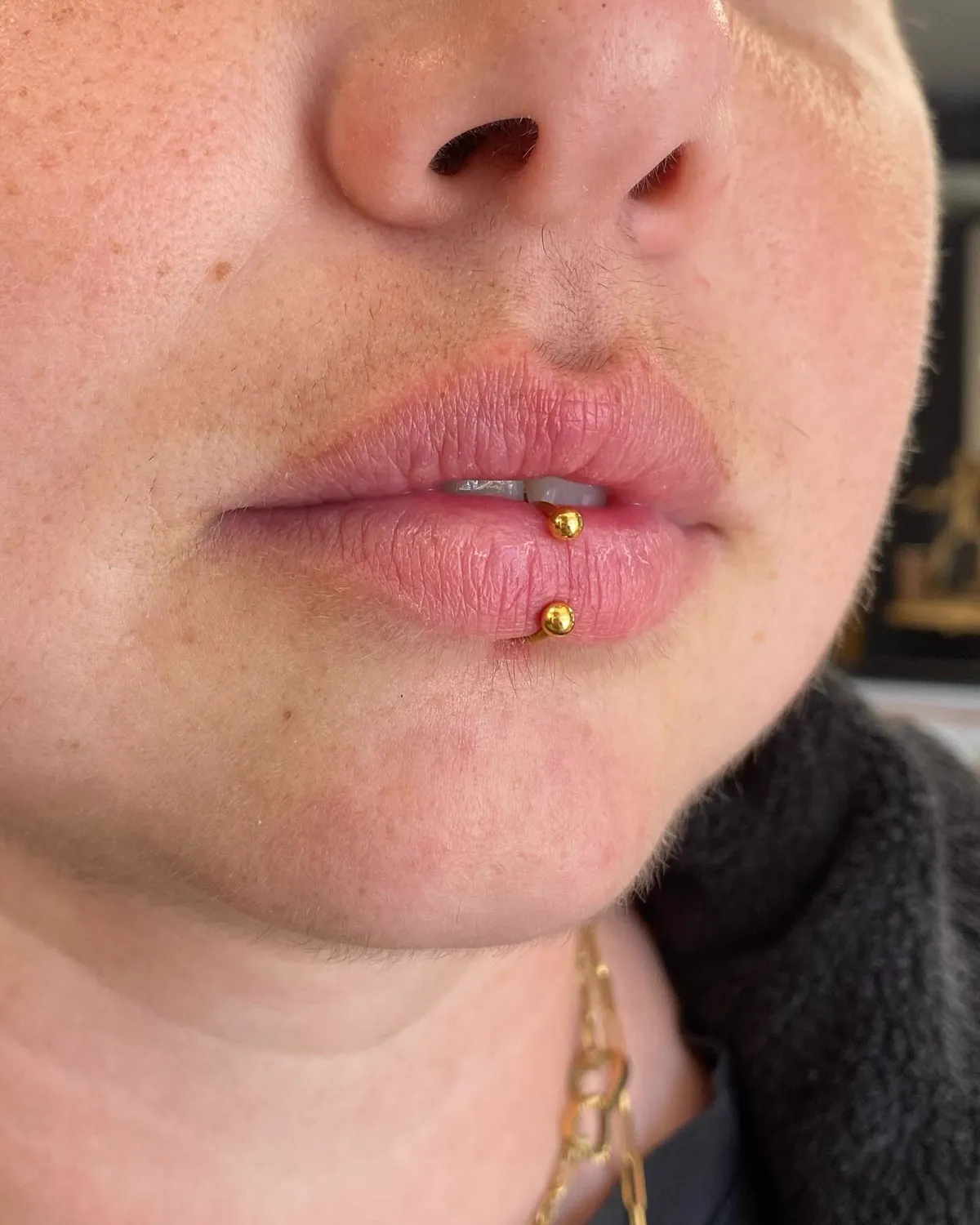 Tout savoir sur le labret, photo 3 sur 10