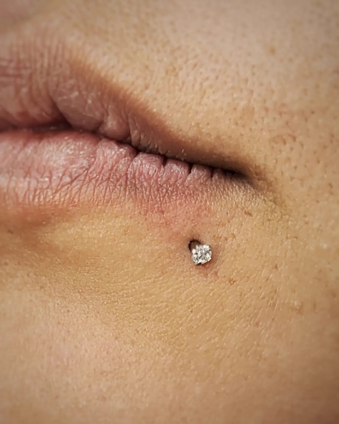 Tout savoir sur le labret, photo 4 sur 10