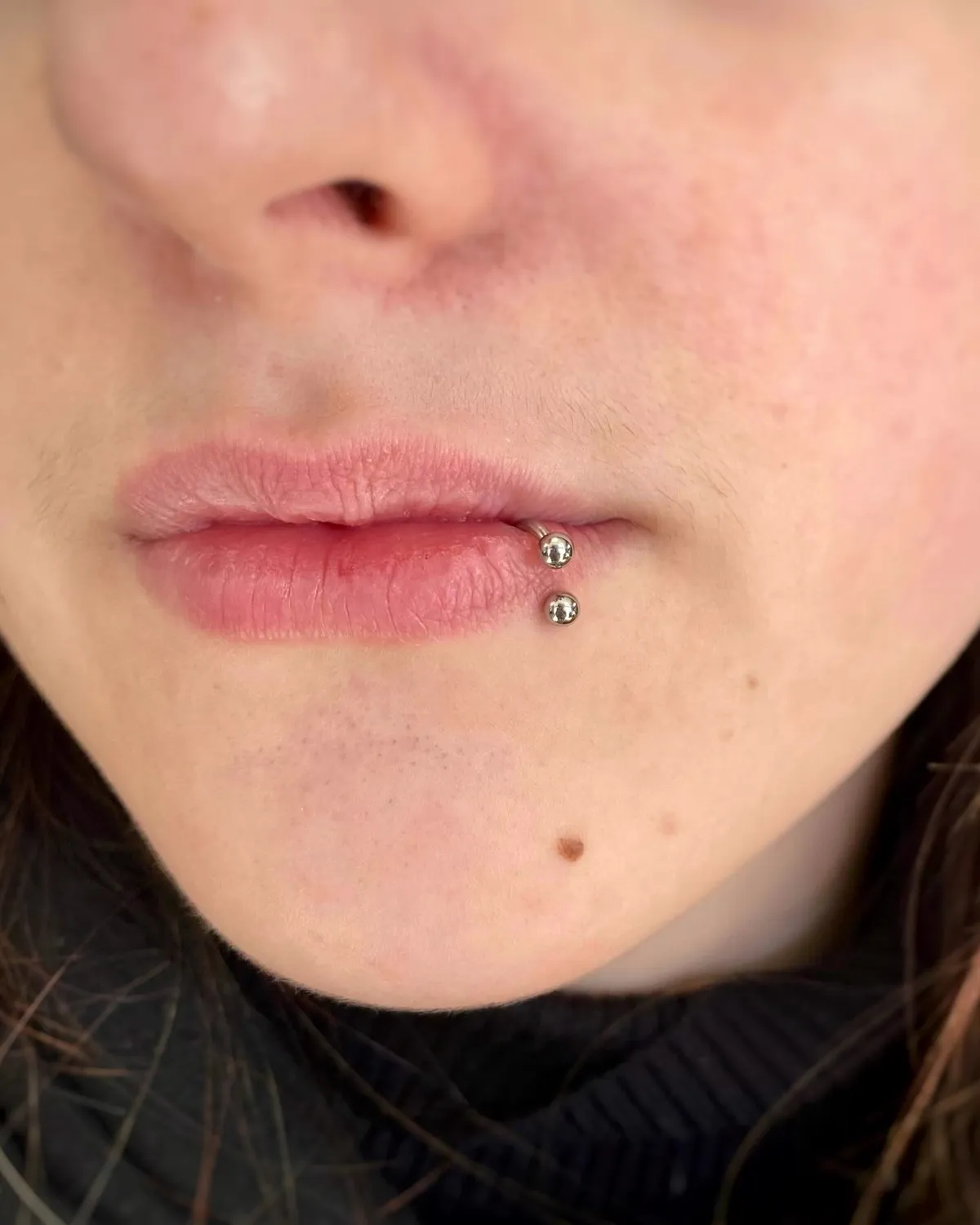 Tout savoir sur le labret, photo 5 sur 10