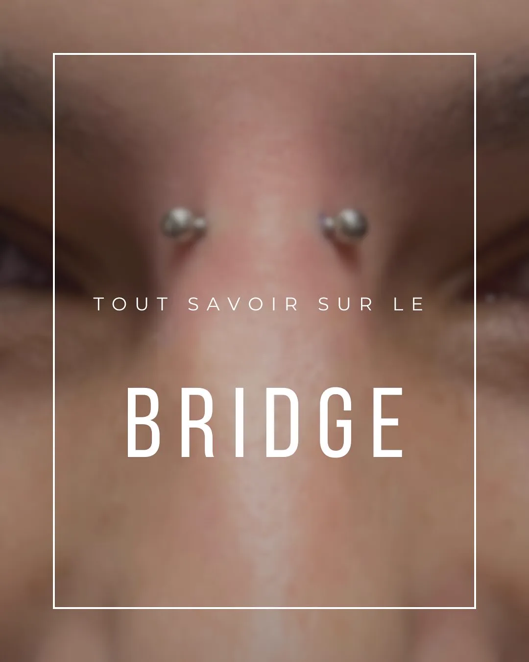 Tout savoir sur le bridge