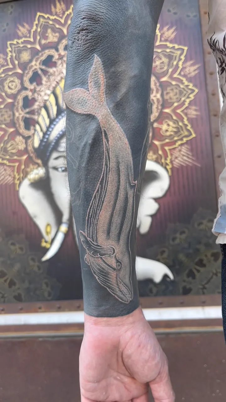 Baleine blanche en full black sur le bras, par Krakenmat