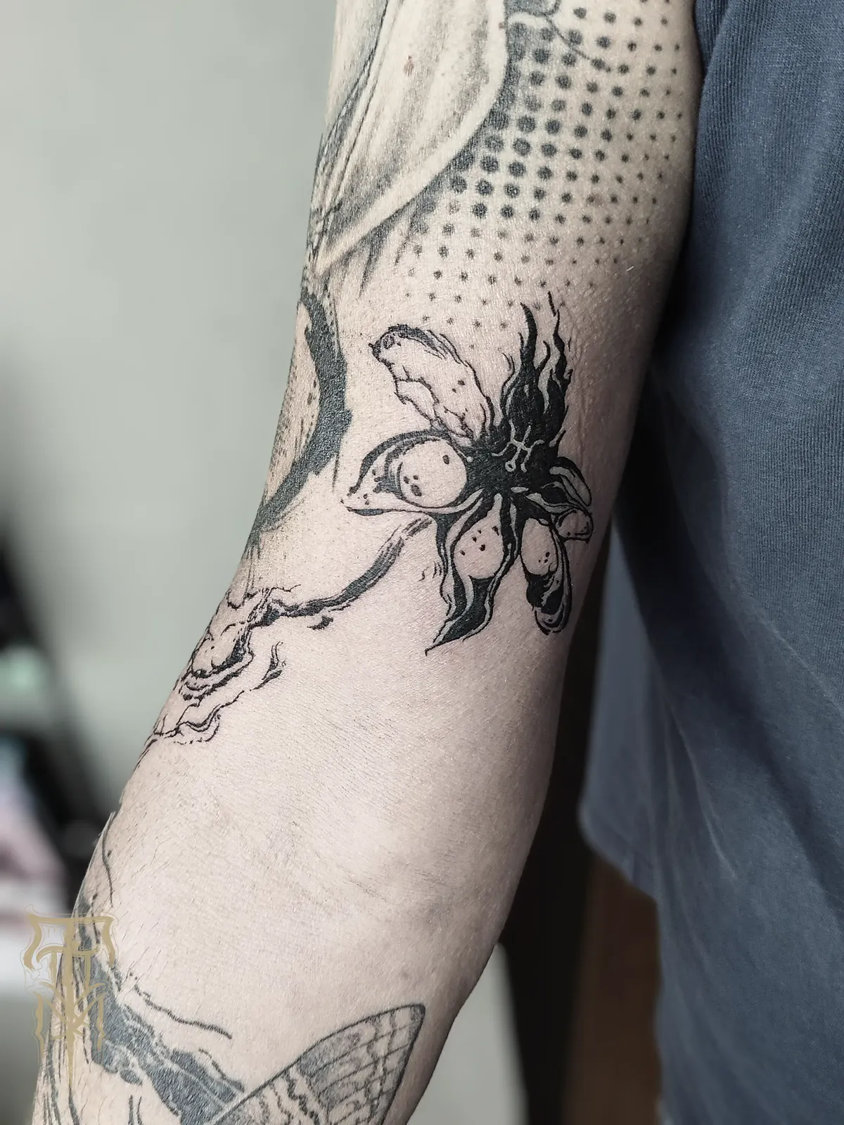 NOUVEAU GUEST RÉGULIER CHEZ TATTOO ON MOVE, photo 7 sur 9