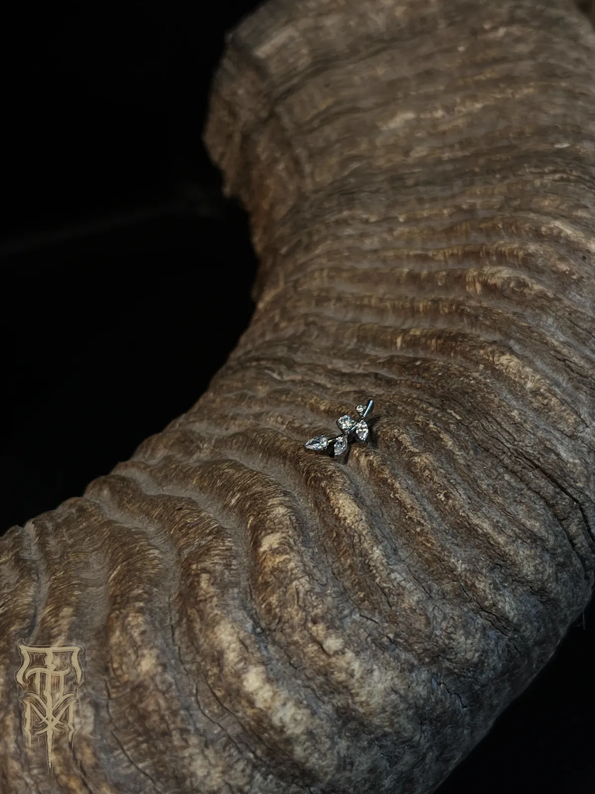 Bijou titane feuillage serti de strass — par Alys à Carpentras, photo 1 sur 3