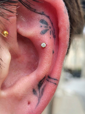 Piercing Contra-conch Bijou Serti