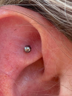 Piercing Faux Rook