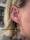 conch_piercing_tattoo-on-move_100_original