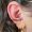 conch_piercing_tattoo-on-move_114_original