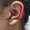 conch_piercing_tattoo-on-move_115_original