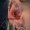 conch_piercing_tattoo-on-move_80_original