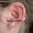 daith_piercing_tattoo-on-move_20_original