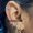 tattoo-on-move_piercing-helix_55_original