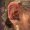 industriel_piercing_tattoo-on-move_15_original