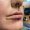 medusa_piercing_23-janvier-2025_tattoo-on-move_1_original