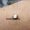 microdermal_piercing_tattoo-on-move_5_original