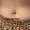 nombril_piercing_tattoo-on-move_22_original