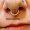 septum_piercing_tattoo-on-move_13_original