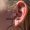 tattoo-on-move_piercing-surface-de-tragus_novembre-2024_original