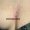 tattoo-on-move_piercing-surface_14_original