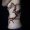 bambi_tattoo-on-move_84_original