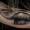 received_10205766426079831-01_original