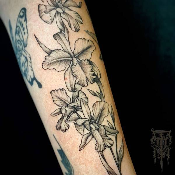 patricia_noirdejais_noir-de-jais_tattoo-on-move_fine-line-tattoo_fleurs_orchidees_cattleyajpg_original