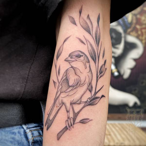 patricia_noirdejais_noir-de-jais_tattoo-on-move_fine-line-tattoo_oiseau_moineau_bras_branche_feuillage_original