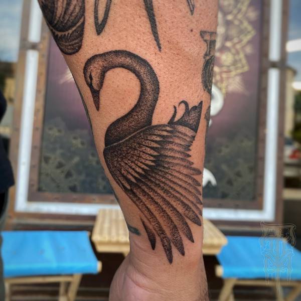 patricia_noirdejais_noir-de-jais_tattoo-on-move_fine-line-tattoo_cygne-noir_homme_bras_original