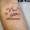 patricia_noirdejais_noir-de-jais_tattoo-on-move_fine-line-tattoo_lettrage_nous_etoiles_coeurs_famille_original