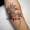 patricia_noirdejais_noir-de-jais_tattoo-on-move_fine-line-tattoo_salamandre_fleurs_vanille_framboises_original