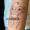 patricia_noirdejais_noir-de-jais_tattoo-on-move_fine-line-tattoo_simba_disney_bras_original