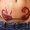 _SCF5799_-_Copie_-_Copie_original