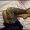 iphone_a_trier_648_original