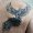 tof_tattoo_20_tattoo-on-move_original