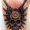tof_tattoo_40_tattoo-on-move_original
