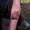 tony_kaboom_tattoo-on-move_old-school_color_anchor_ancremarine_original