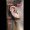 zoe_tattoo-on-move_piercing_12_original