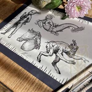 Photo_11-08-2023_16_54_14_original