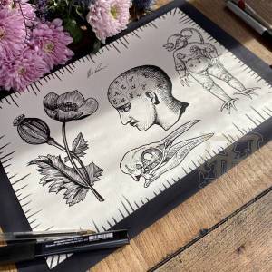 Photo_11-08-2023_16_58_29_original