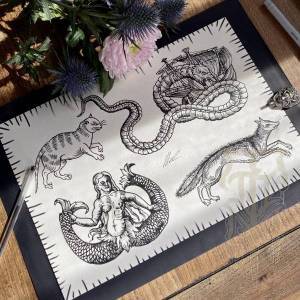 Photo_11-08-2023_17_01_35_original