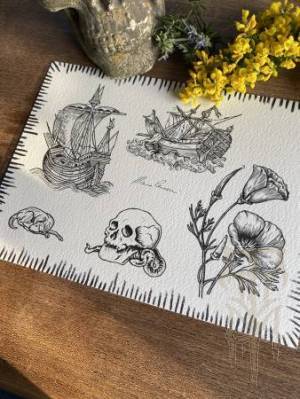 Photo_13-04-2024_19_27_55_original